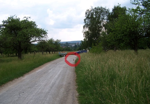 Säugetiere